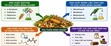 Biến phụ phẩm nông nghiệp thành tài nguyên Hướng tiếp cận bền vững cho nông nghiệp tuần hoàn
