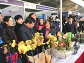 Vietnam National University of Agriculture entered the top 10 innovation booths at the 2021 Vietnam International Innovation Exhibition