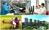 Thủ tướng quyết định thành lập Hội đồng Tư vấn chính sách