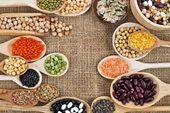 Kiểm nghiệm ngũ cốc – Thực phẩm bổ dưỡng dành cho mọi nhà