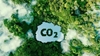 Bán tín chỉ carbon Tiềm năng lớn trong ngành nông nghiệp