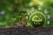 Minh bạch giúp sàn giao dịch tín chỉ carbon vận hành hiệu quả