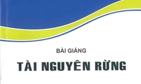 Bài giảng Tài nguyên rừng
