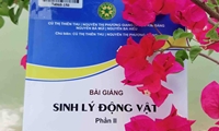 Bài giảng Sinh lý động vật Phần 2