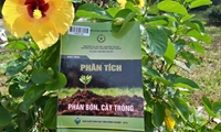 Giáo trình Phân tích phân bón, cây trồng