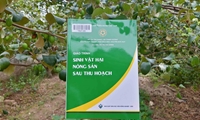 Giáo trình Sinh vật hại nông sản sau thu hoạch