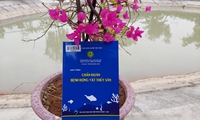 Giáo trình Chẩn đoán bệnh động vật hại thủy sản