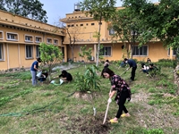Hào hứng với tết trồng cây chào xuân mới 2021