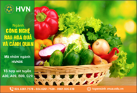 Ở nhà ngày giãn cách xã hội, đua nhau lên mạng học bí kíp trồng hoa, cây cảnh, rau xanh