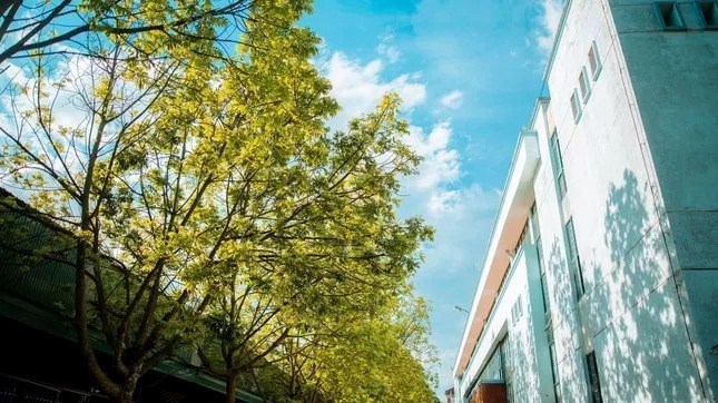 Cuộc sống sinh viên Cuộc sống sinh viên