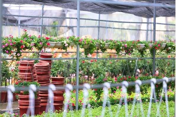 Cuộc sống sinh viên Cuộc sống sinh viên