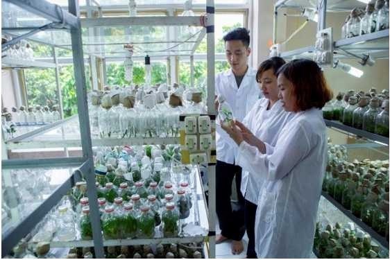 Cuộc sống sinh viên Cuộc sống sinh viên