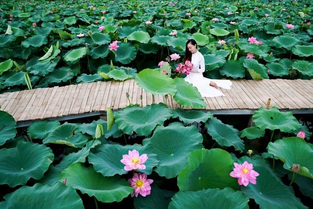 Cuộc sống sinh viên