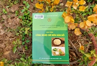 Giáo trình Công nghệ chế biến đậu đỗ