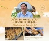 Cái bắt tay với Đại bàng đưa thứ củ cứu đói thành nông sản triệu USD
