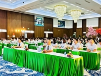 Hành trình nghiên cứu khoa học Từ giảng đường đến công bố quốc tế