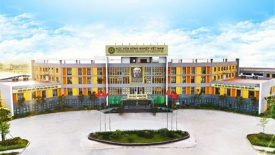 Hướng tới Đại hội đại biểu Đảng bộ Học viện Nông nghiệp Việt Nam Dấu ấn đậm nét về phát triển cơ sở vật chất làm thay đổi diện mạo, tầm vóc của Học viện