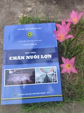 Giáo trình chăn nuôi lợn