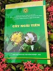 Cây Ngải tiên