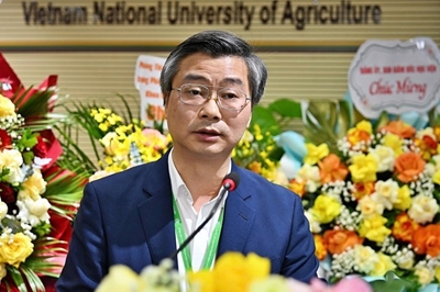 Thực hiện vai trò “cầu nối chính sách”, cung cấp bằng chứng khoa học cho quản trị phát triển xanh