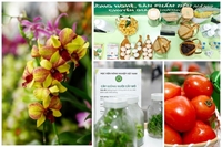 VNUA-MART và bước đi thực chất trong chuyển đổi số nông nghiệp