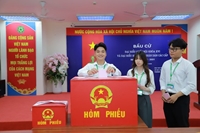 Cán bộ, viên chức, sinh viên Học viện Nông nghiệp Việt Nam tích cực tham gia bầu cử đại biểu Quốc hội khóa XVI và đại biểu Hội đồng nhân dân các cấp nhiệm kỳ 2026-2031
