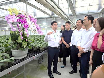 Khảo sát xây dựng chương trình giáo dục trải nghiệm, STEM và hướng nghiệp