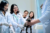 Chào mừng kỷ niệm 76 năm ngày truyền thống ngành Thú y Việt Nam 11 7 1950 - 11 7 2026