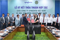 Syngenta hợp tác cùng Học viện Nông nghiệp Việt Nam về nghiên cứu khoa học và đào tạo