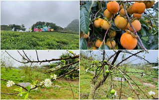 Khoa Du lịch và Ngoại ngữ – Học viện Nông nghiệp Việt Nam đồng hành cùng Sơn La phát triển du lịch nông nghiệp, nông thôn