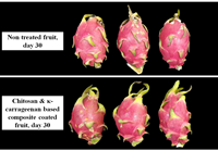 Chitosan and kappa carrageenan-based composite applied as multilayer coatings and films