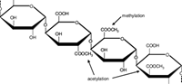 Optimization of pectin extraction and development of pectin-alginate biofilm based on pectin from purple passion fruit peel Passiflora edulis Sims