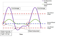Glycemic index in diabetes