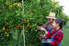 Applying New Technologies To Increase Agriculture Production While Reducing Post-Harvest Losses