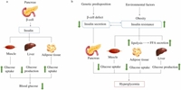 Phenolic compounds and their capacity on decreasing the blood glucose level