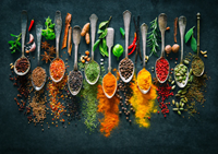 Seasonings used in meat processing