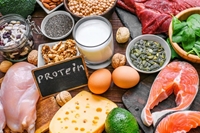 What meals have the highest rate of protein synthesis