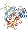 The effects of food on the drug metabolism activity of the P450 enzyme system in the human body