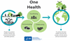 One Health - A holistic approach to improving food safety