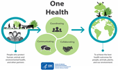 One Health - A holistic approach to improving food safety