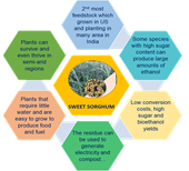 Sweet sorghum and nanotechnology breakthrough solutions in bioethanol production for sustainable development