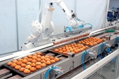 Food  Beverage Plant Automation Makes Humans Work Differently