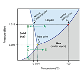 Next-generation freeze drying technology Innovations to improve efficiency, sustainability, and food quality