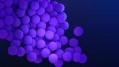 Staphylococcus aureus in food and its risks to public health