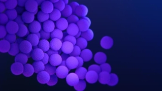 Staphylococcus aureus in food and its risks to public health