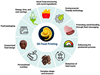 3D food printing The key to personalized nutrition and sustainable development in the future