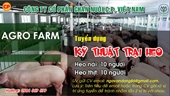 Công ty cổ phần Chăn nuôi C P thông báo tuyển dụng