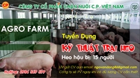 Cty CP Việt Nam - Cần tuyển gấp KỸ THUẬT TRẠI HEO HẬU BỊ