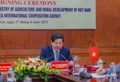 Học viện Nông nghiệp Việt Nam tham gia dự án tăng cường nguồn nhân lực ngành chăn nuôi Việt Nam do Cơ quan Hợp tác quốc tế Hàn Quốc KOICA tài trợ