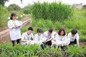 Khoa Chăn nuôi - Học viện Nông nghiệp Việt Nam đáp ứng nhu cầu thực tiễn của người học và hội nhập quốc tế